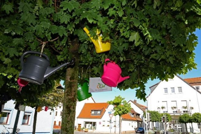Neues und bewährtes zur trockenheitstoleranten Grabbepflanzung